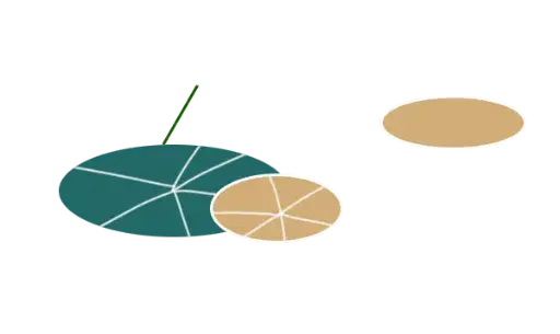 叶子植物矢量图PNG免抠图片