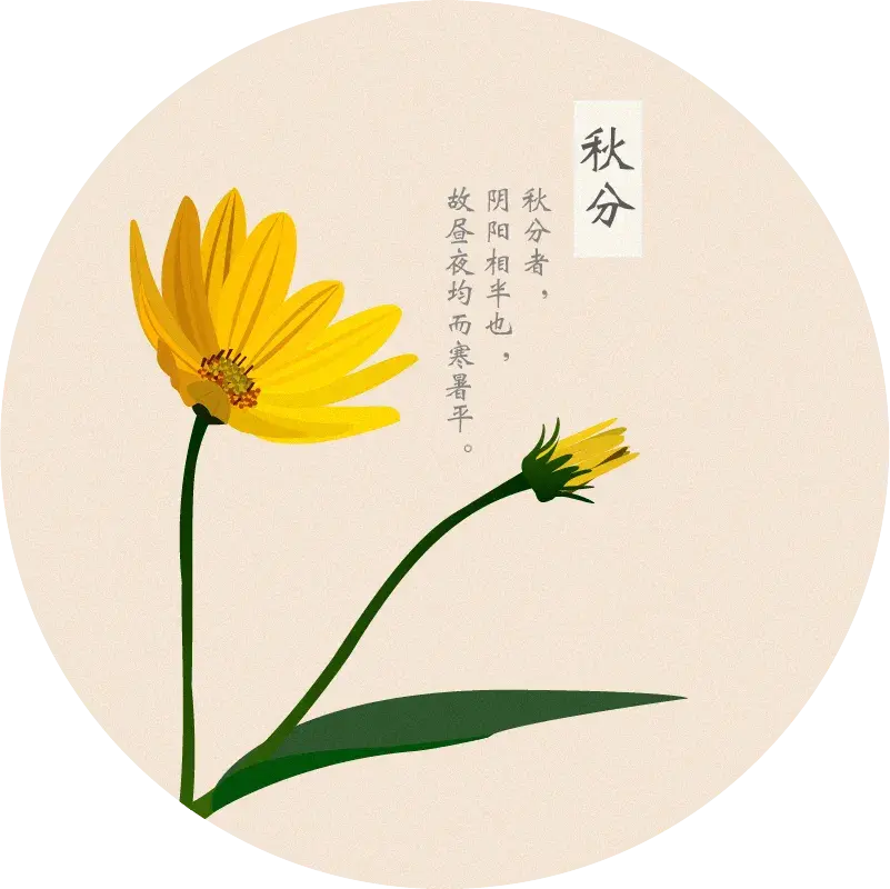 花植物花朵PNG免抠图片