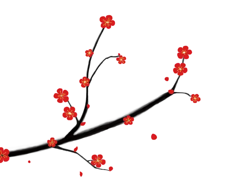 矢量图花设计PNG免抠图片