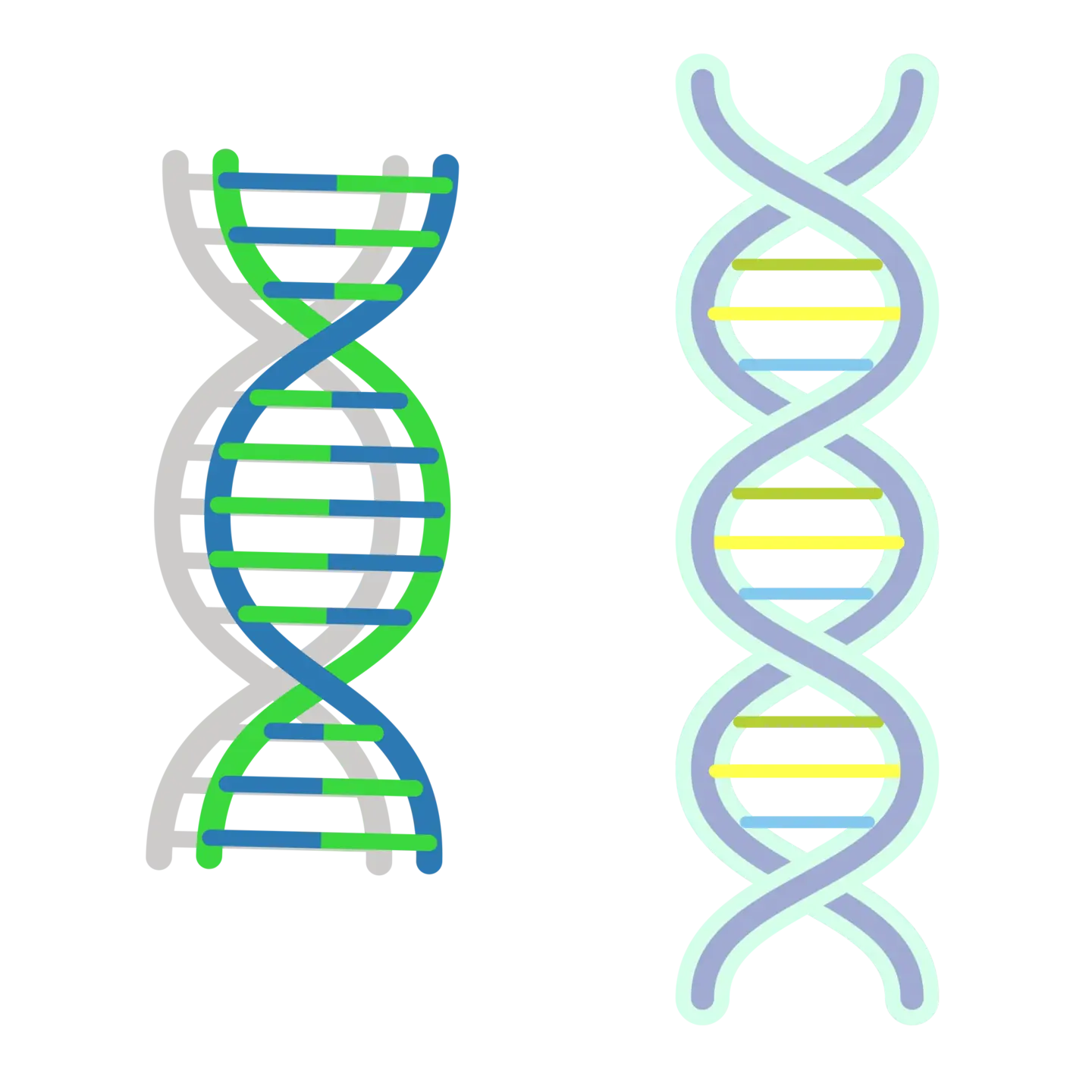 化学分子生物工艺学PNG免抠图片