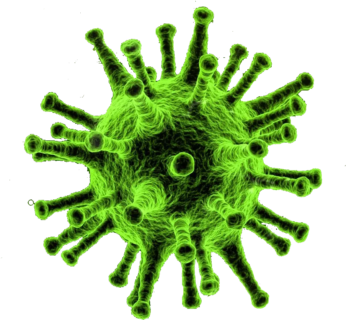 细菌生物学病毒PNG免抠图片