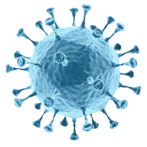 生物学病毒细胞细菌PNG免抠图片