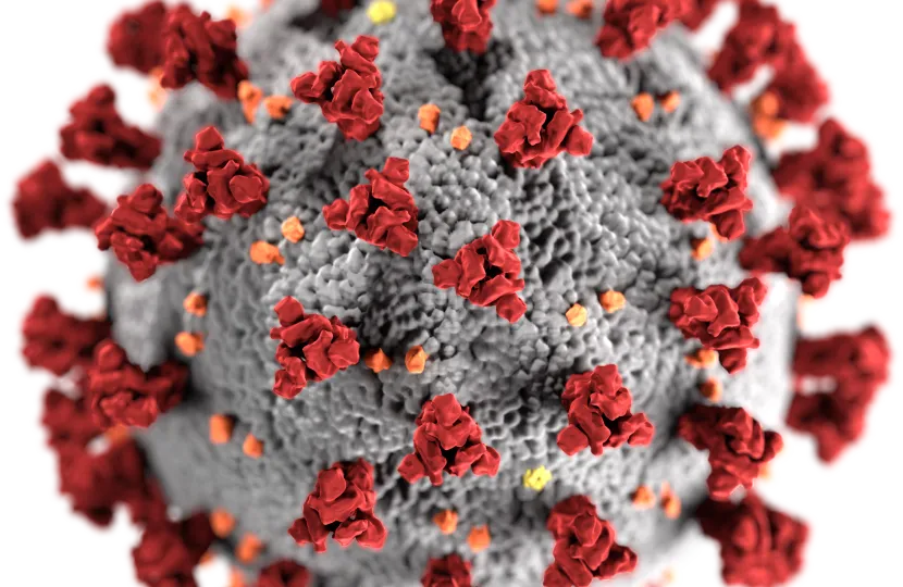 瘟疫微生物学抽象冠状病毒PNG免