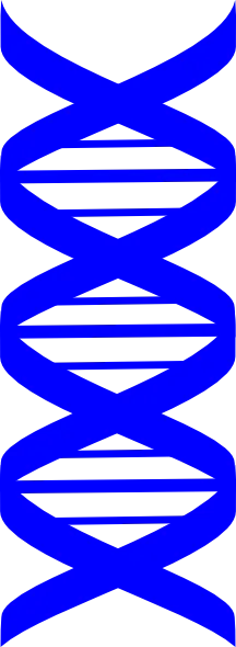 交通标志旗矢量图dnaPNG免抠图片