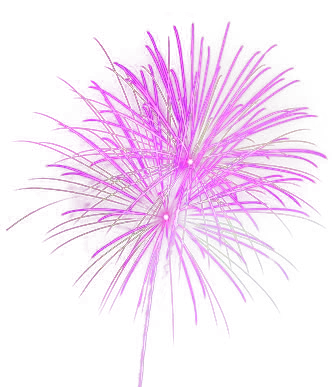 含羞草周年纪念新的焰火PNG免抠