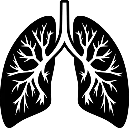 药健康生活方式生物学肺PNG免抠图片