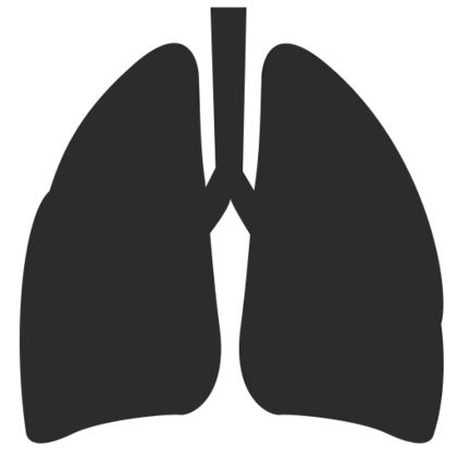 矢量图黑色图标肺PNG免抠图片