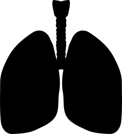 剪影矢量图黑色肺PNG免抠图片