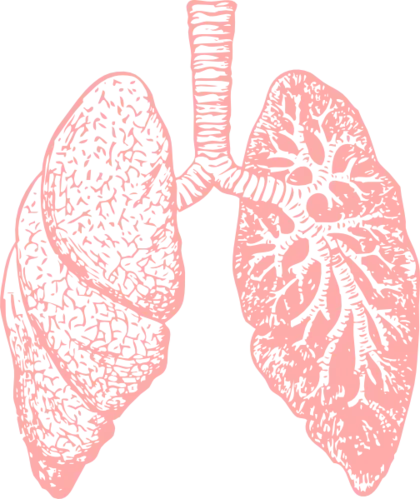 健康生活方式药生物学肺PNG免抠