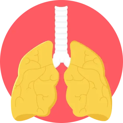 生物学健康生活方式生病肺PNG免