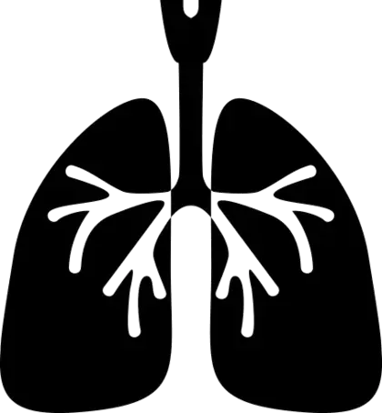 矢量图生物学象征肺PNG免抠图片