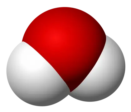 蛋菜肴球分子PNG免抠图片