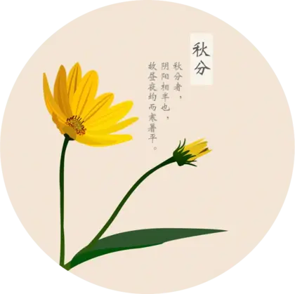 花植物花朵PNG免抠图片