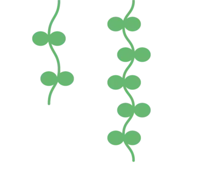 三叶草绿色植物PNG免抠图片