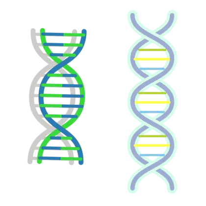 化学分子生物工艺学PNG免抠图片