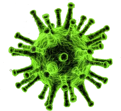 细菌生物学病毒PNG免抠图片