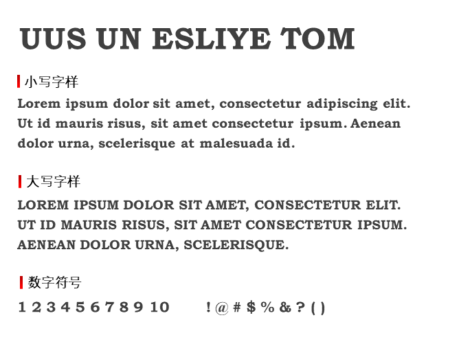 UUS UN ESLIYE TOM