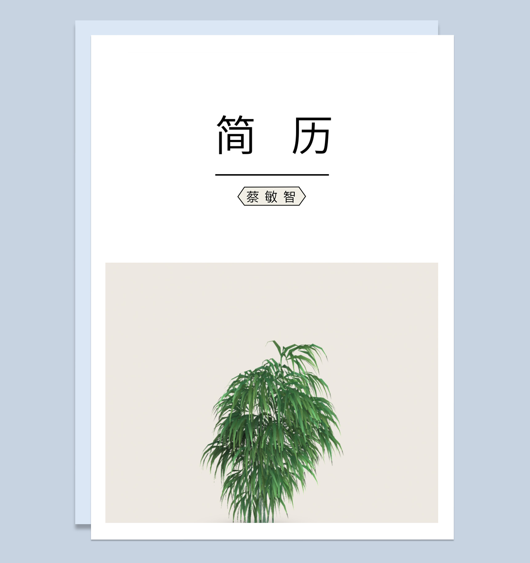 简约经典毕业生求职简历成套Word模板-1