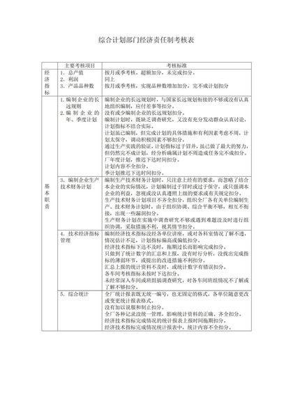 综合计划部门经济责任制考核word模板